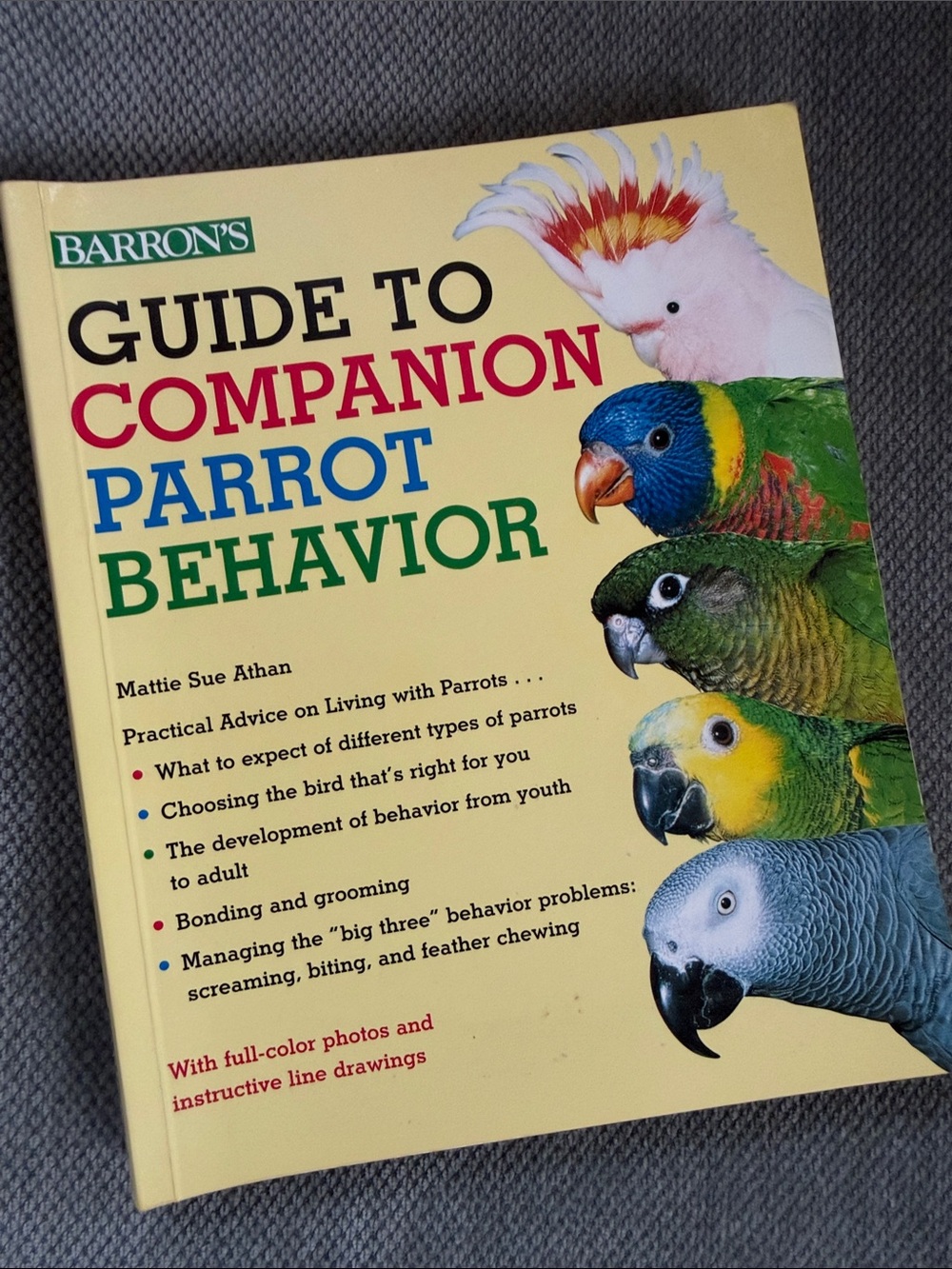 Guide to Companion Parrot Behavior
